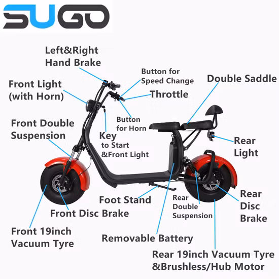 Le plus récent Citycoco moto électrique adulte Scooter électrique 2000W moto électrique